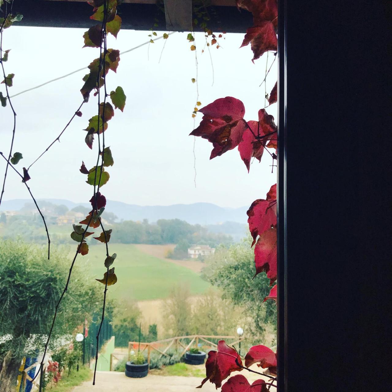 Il Pozzo Country House Collescipoli Extérieur photo
